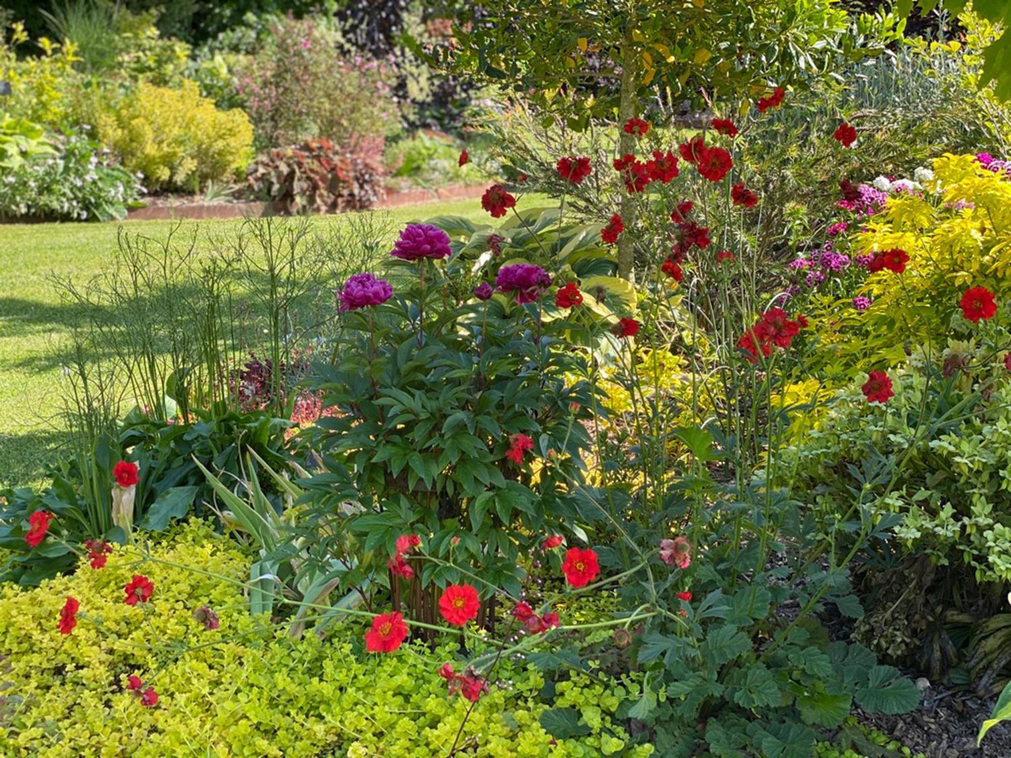 L'Ecole Des Garcons Bed and Breakfast Maigne Eksteriør billede